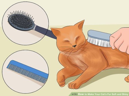 Предметы для ухаживания за животными