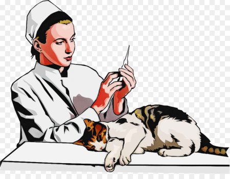 Картина ветеринар