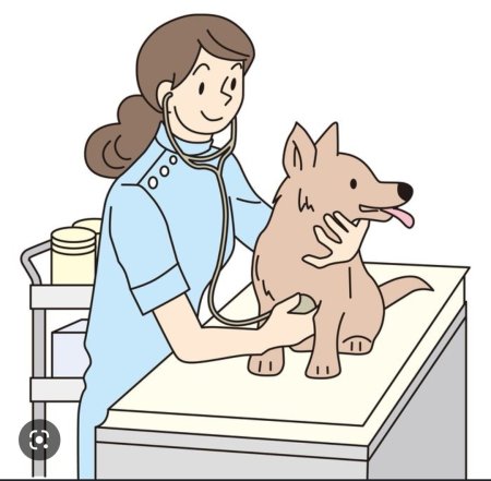 Ветеринар мультяшный