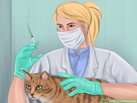 Конный ветеринар