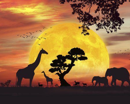 Африканский пейзаж на закате