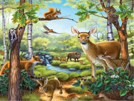 Обитатели леса