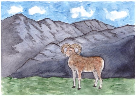 Рисование горный баран Дагестан