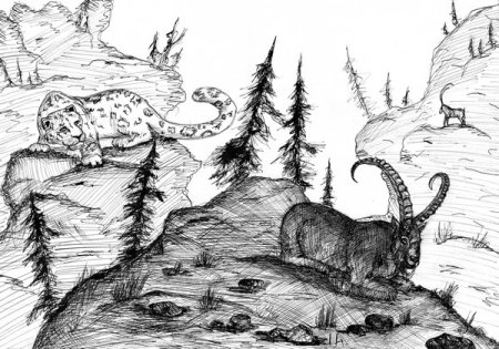 Снежный Барс раскраска для детей