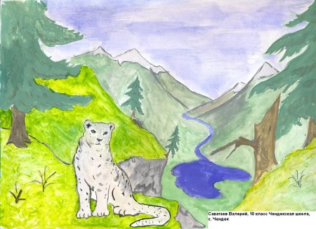 Иллюстрации краснокнижных растений и животных