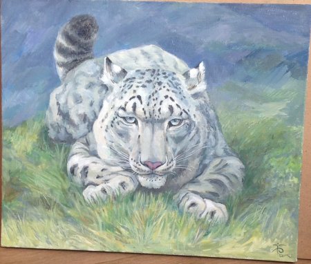 Сибирь рисунок