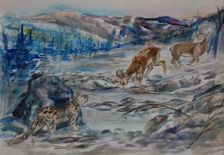 Детские рисунки краснокнижных животных