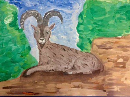 Художник Ирина Павлишина