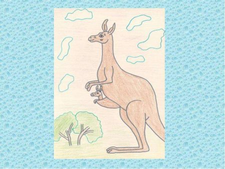 Камиль сен-Санс кенгуру рисунок