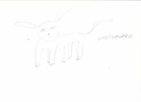 Тест рисунок несуществующего животного