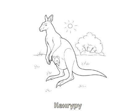 Карнавал животных сен-Санс кенгуру