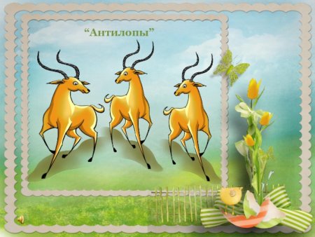 Кенгуру раскраска