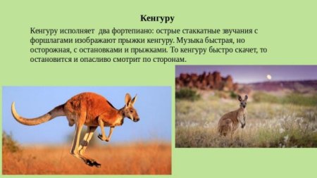 Сен-Санс карнавал животных птичник