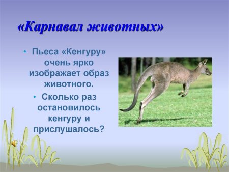 Семья кенгуру раскраска