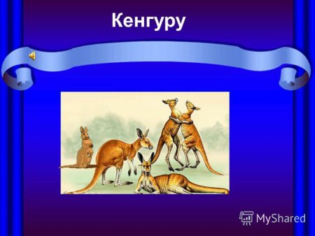 Карнавал животных поделки