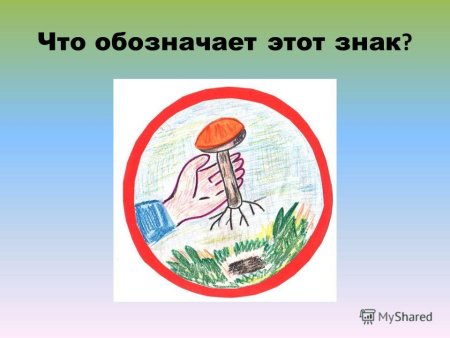 Экологические знаки про грибы