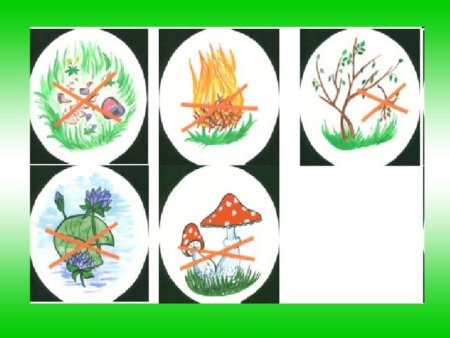 Условные знаки экологической безопасности для человека