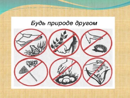 Знаки природы окружающий