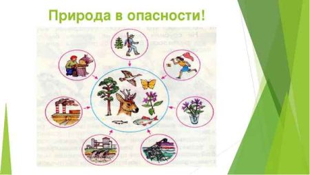 Природа в опасности