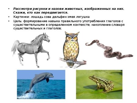 Игра кто как передвигается в картинках