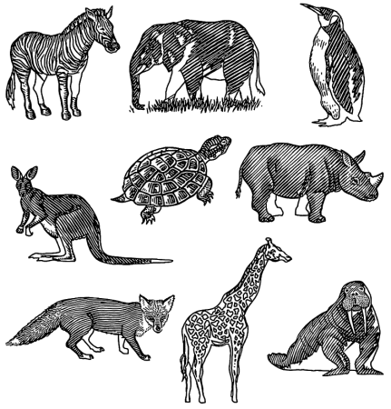 Упражнения на животных