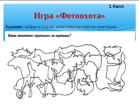Узнай по контуру животных