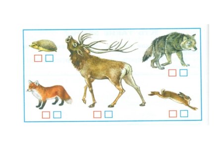 Сравни Размеры зверей