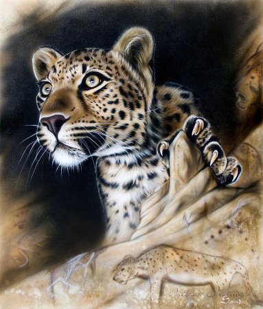 Sandi Baker картины