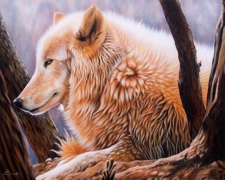 Художник Колотуша Елена (Elena Kolotusha)