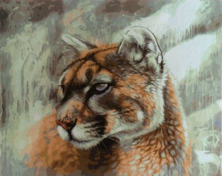 Художник Kate mur