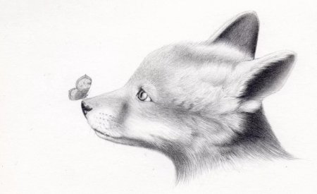 Животные карандашом