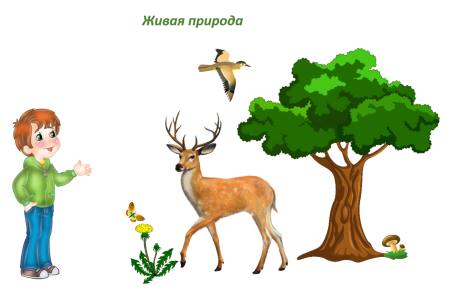 Красная книга животных и растений