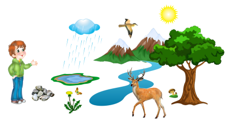 Рисунки животных степи