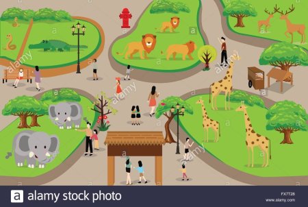 Жираф в зоопарке для детей