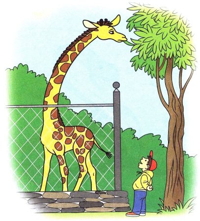 Раскраска зоопарк