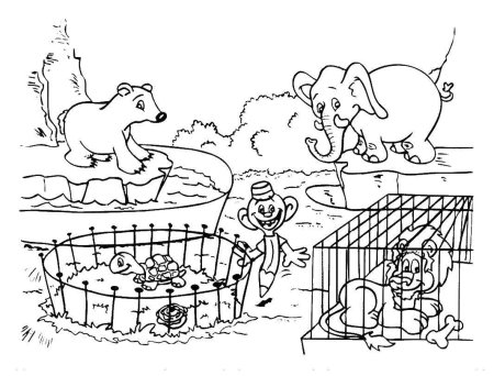 Раскраска тигр в зоопарке