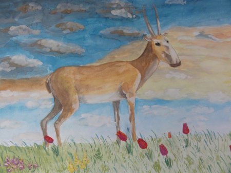 Степные животные