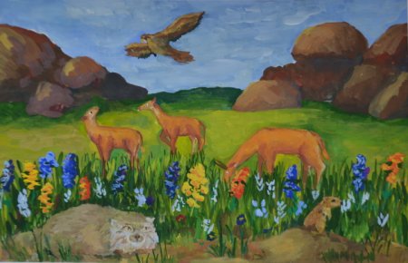 Фауна зарисовки