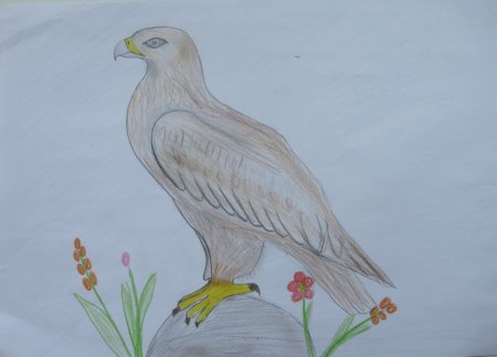 Рисунок Сайгак в степи