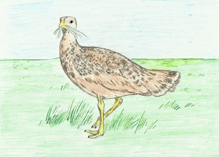 Степь рисунок