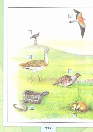 Рисунок на тему степь