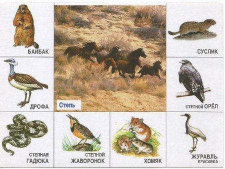 Рисунок на тему степь