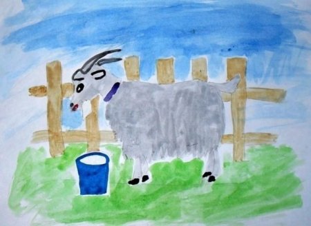 Рисование домашних животных в подготовительной группе