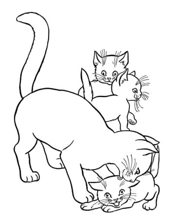 Кошки. Раскраска