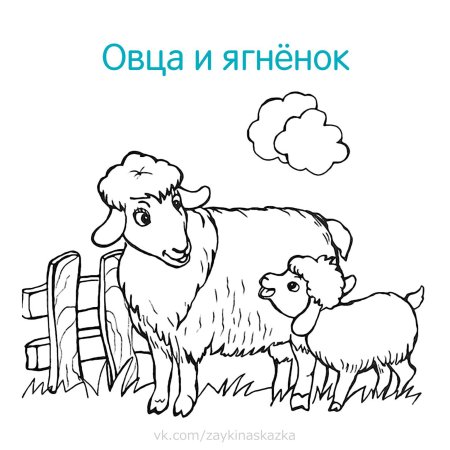 Раскрась животных и их детенышей