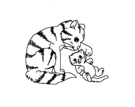 Кошки и собаки. Раскраска