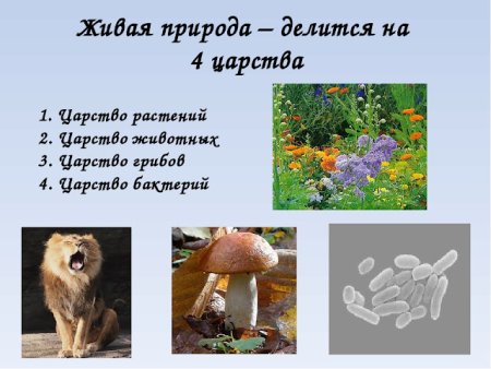 Домик цветными карандашами