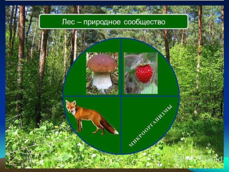 Экологические знаки