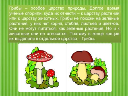 Сказочные домики для животных