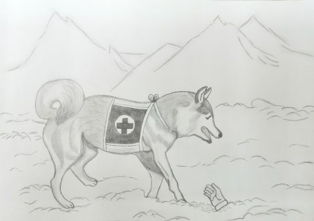 Собака санитар рисунок